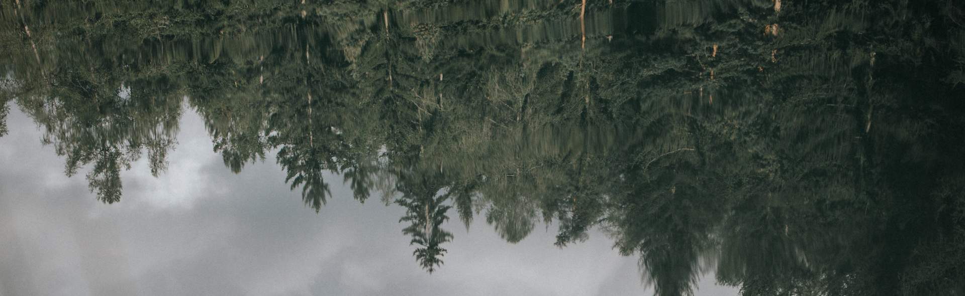 header-img